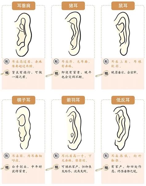 耳垂有线面相|面相耳朵图解【最详细版】 – 杨易德全集官网